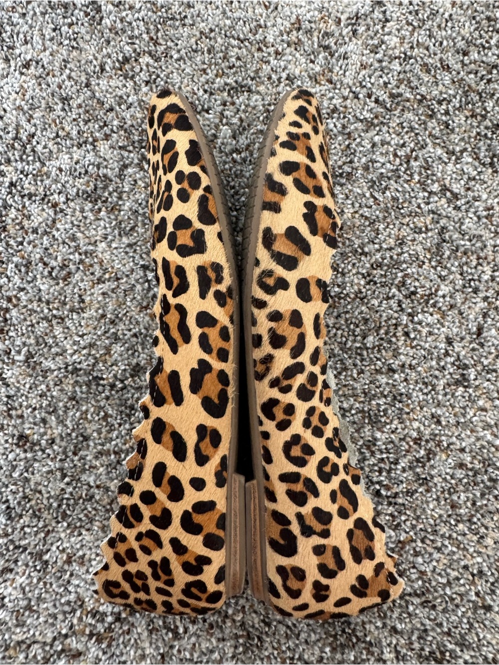 Audrey Brooke Scalloped Leopard Print Flats - Tan/Black - Picture 3 of 5